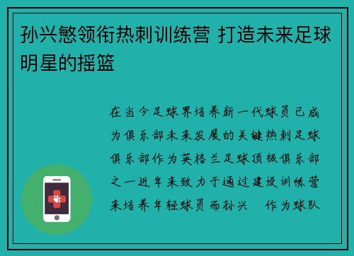 孙兴慜领衔热刺训练营 打造未来足球明星的摇篮